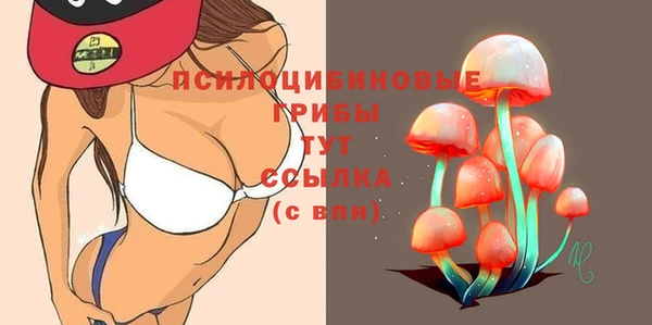 СК Новокубанск