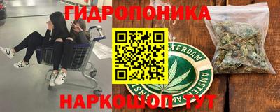 трава Абакан