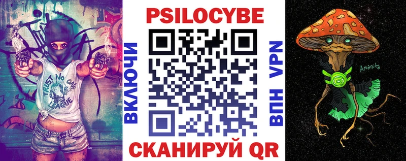 Галлюциногенные грибы Psilocybe продажа наркотиков даркнет клад Лабинск