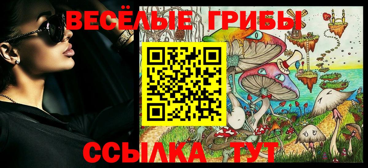 Галлюциногенные грибы прущие грибы  Галлюциногенные грибы Cubensis  Вход с VPN  Лабинск 
