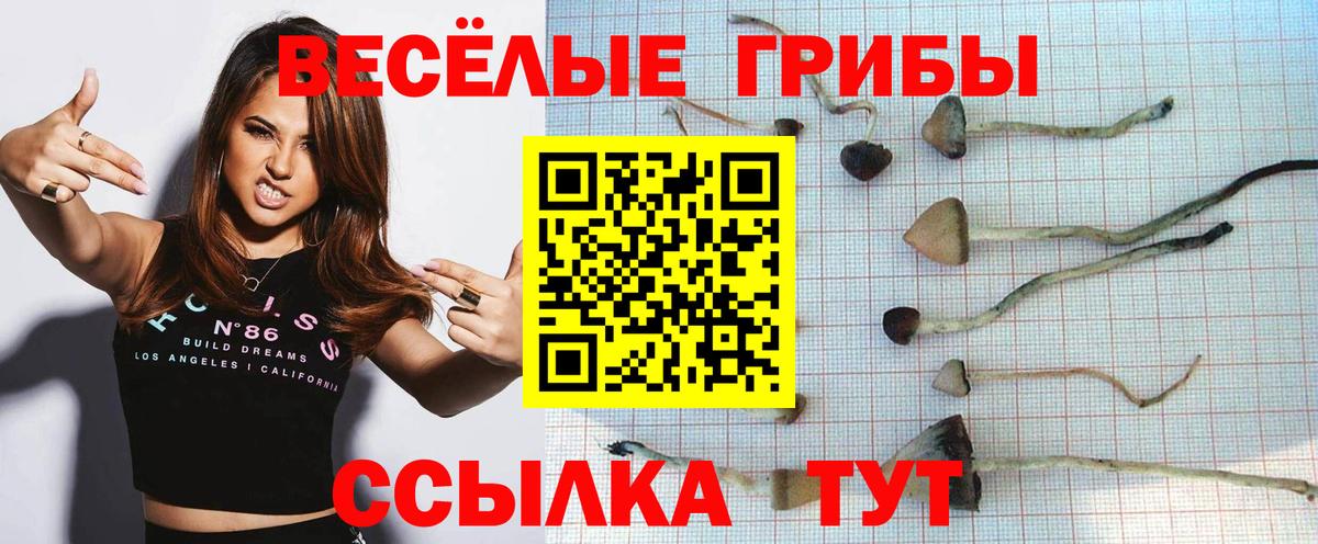 Галлюциногенные грибы мухоморы  Лабинск 